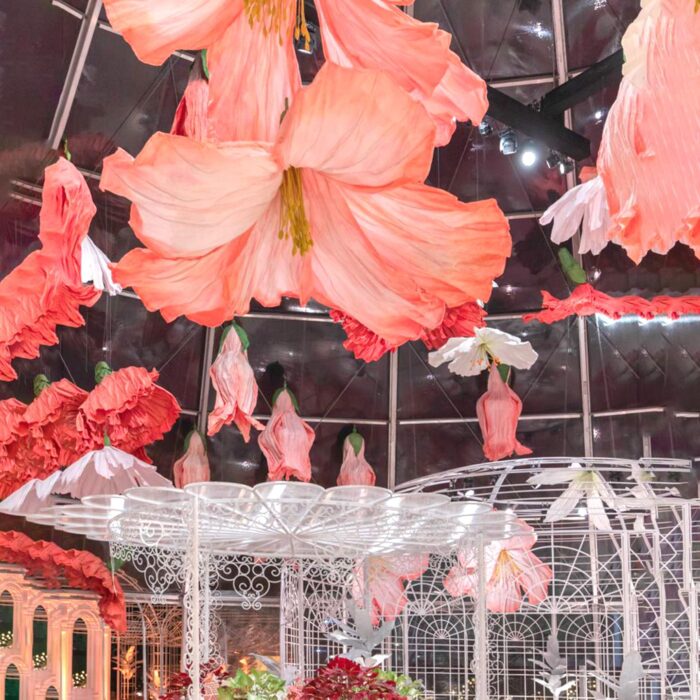 mẫu hoa Tết 2026