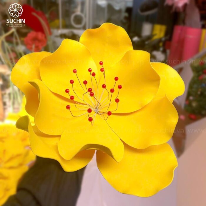 Hoa mai khổng lồ