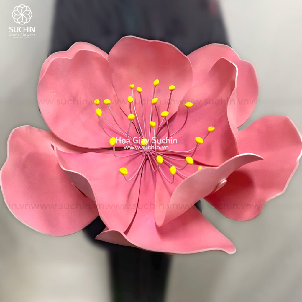 mẫu hoa Tết 2026