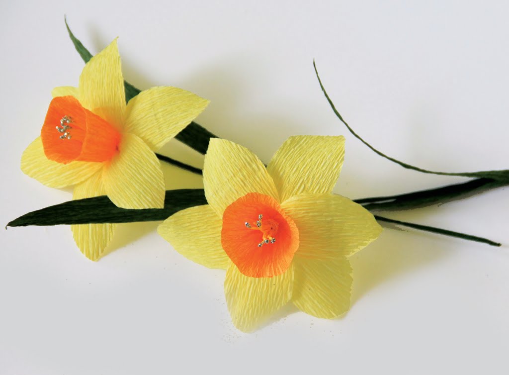 Hướng dẫn làm hoa thủy tiên bằng giấy nhún dễ thực hiện