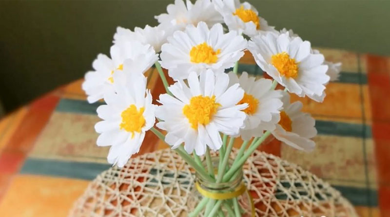 Hoa giấy và phong thủy như thế nào cho phù hợp với tuổi của bạn