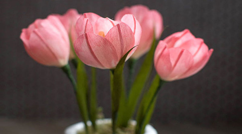 Tip hướng dẫn làm hoa giấy trang trí cực yêu