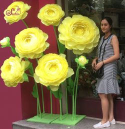 hoa giấy đẹp