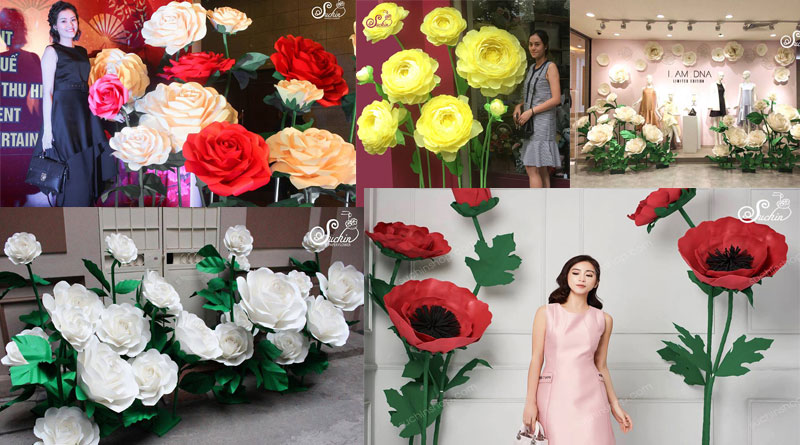 Tổng hợp những cây hoa giấy đẹp nhất tại Hà Nội