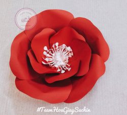 dạy làm hoa giấy rẻ
