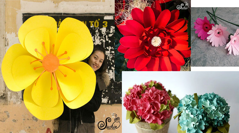 May mắn với hoa giấy và phong thủy cho tuổi của bạn