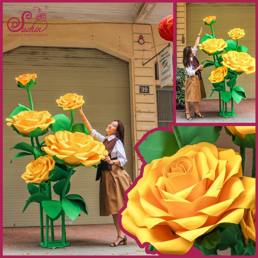 Cây hoa giấy khổng lồ trang trí show window