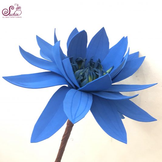 Hoa súng mút xốp