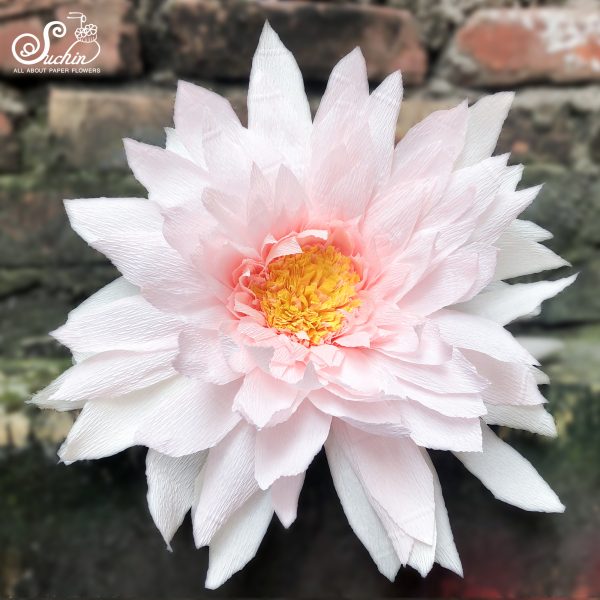Hoa giấy nhún trang trí