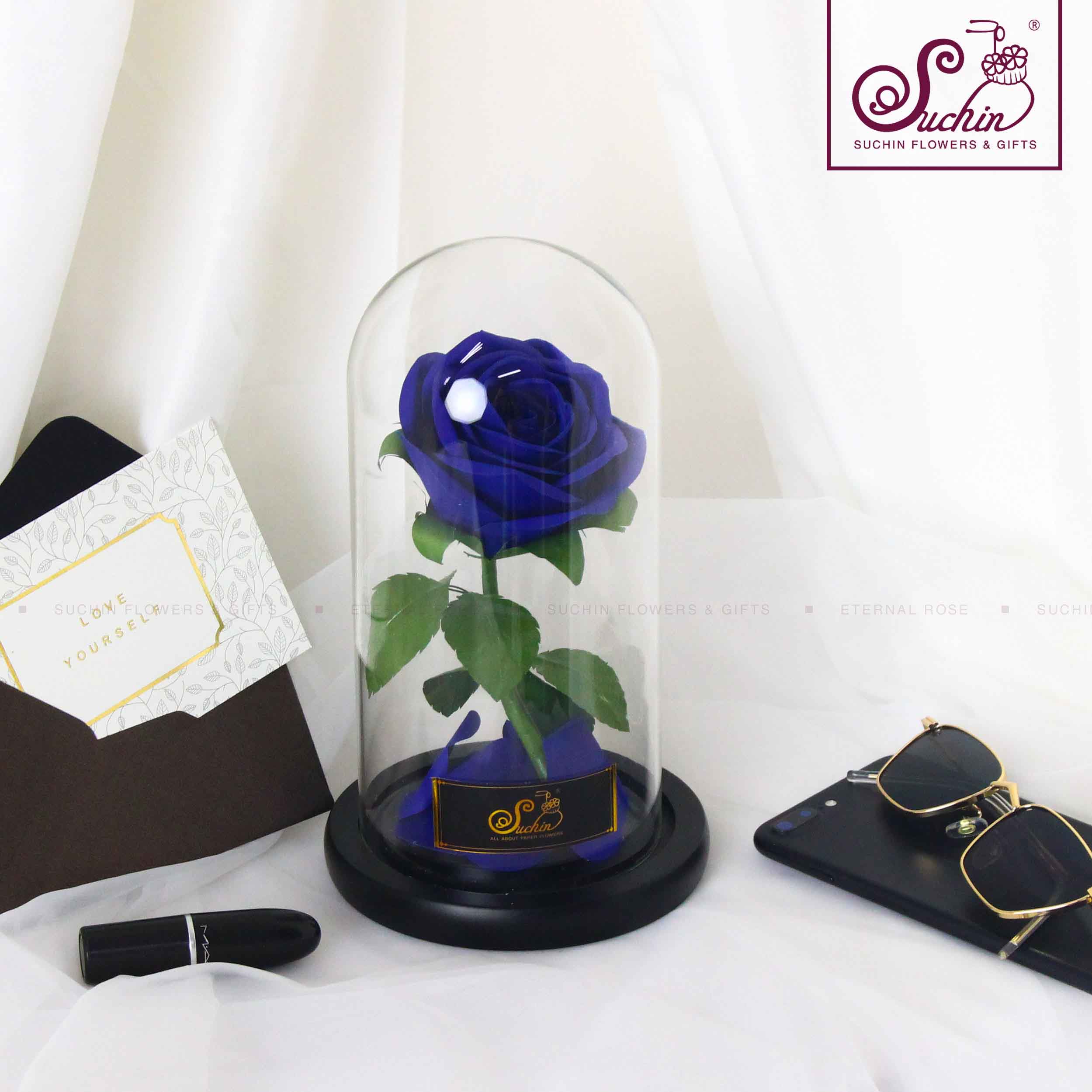 Hoa màu xanh – Loài hoa biểu tượng cho sự an bình và tình yêu bất diệt