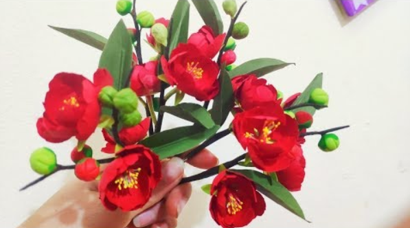 Hoa mai Đỏ đẹp rạng ngời đón Tết 