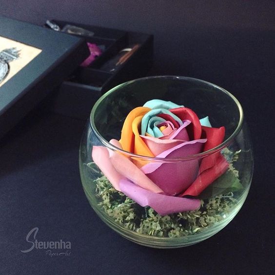 Chọn hoa hợp với tính cách -Loài hoa giấy nào là phong cách của bạn?