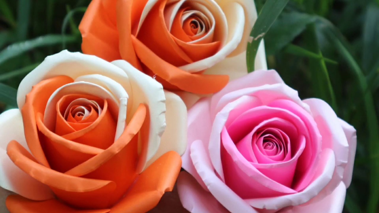 Hoa màu cam – Bạn đến để tô thêm sắc màu trong cuộc sống của tôi!