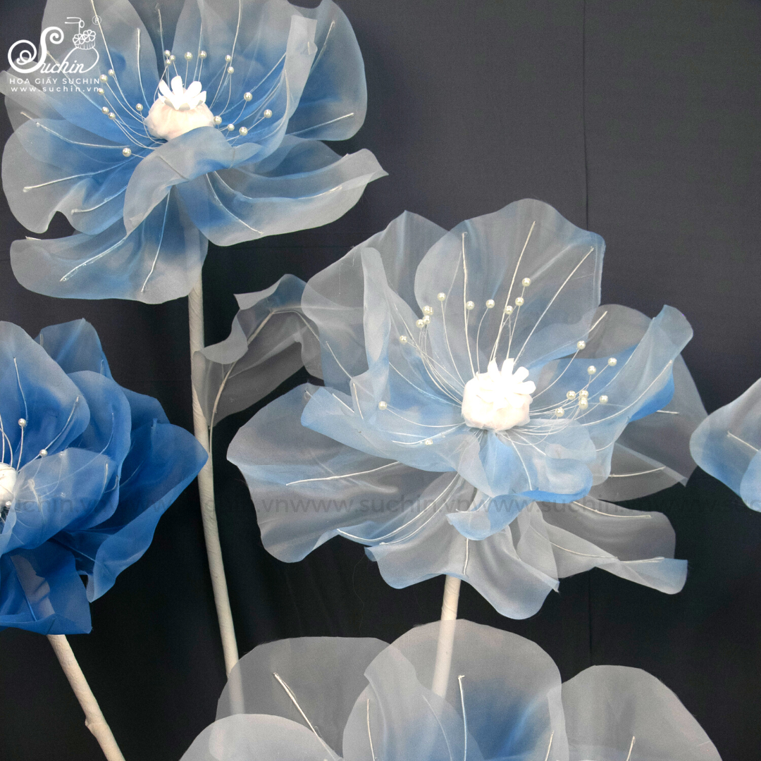 Những điều cần biết về hoa voan – Hoa voan nghệ thuật