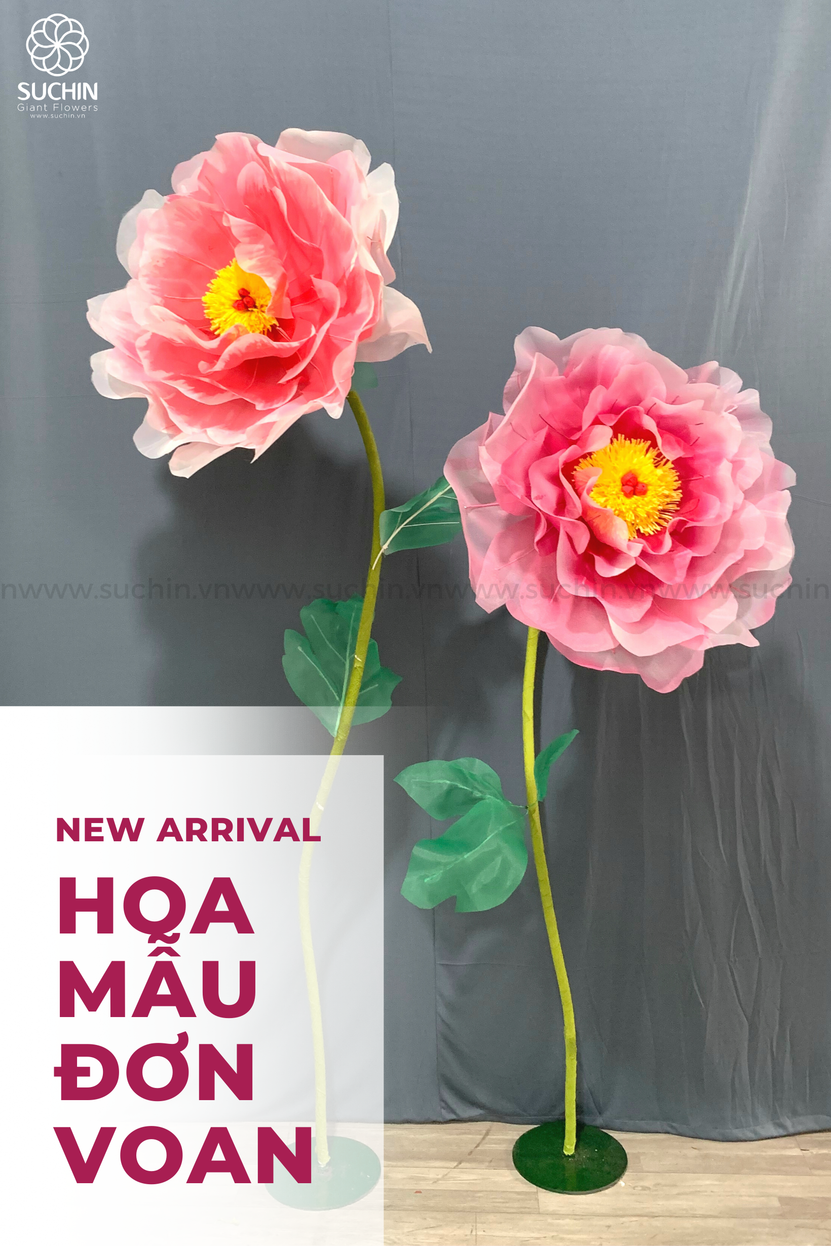 HOA MẪU ĐƠN VOAN TRANG TRÍ