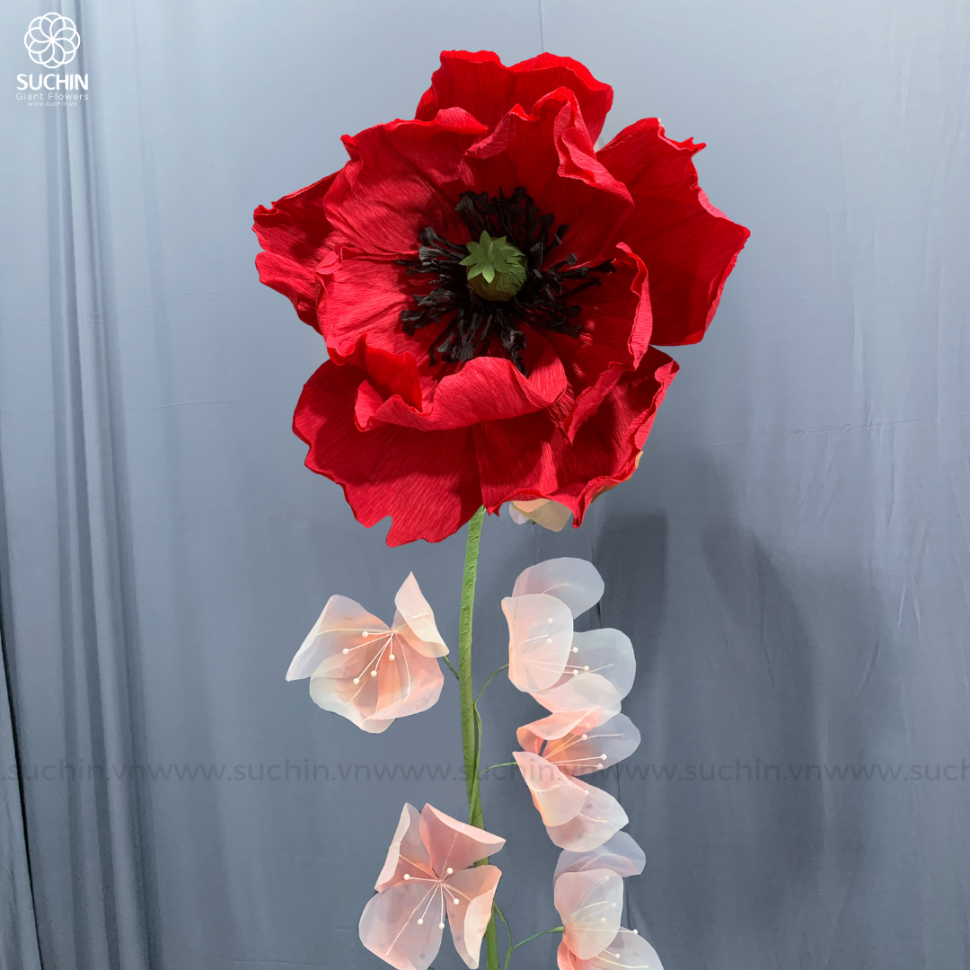 HOA KHỔNG LỒ POPPY CUỐN HÚT