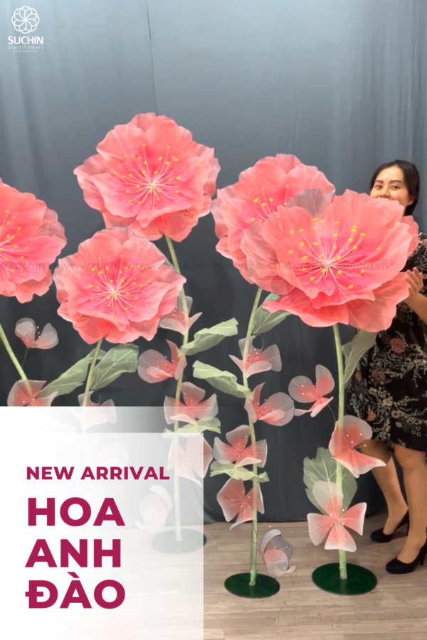 hoa anh đào vải voan