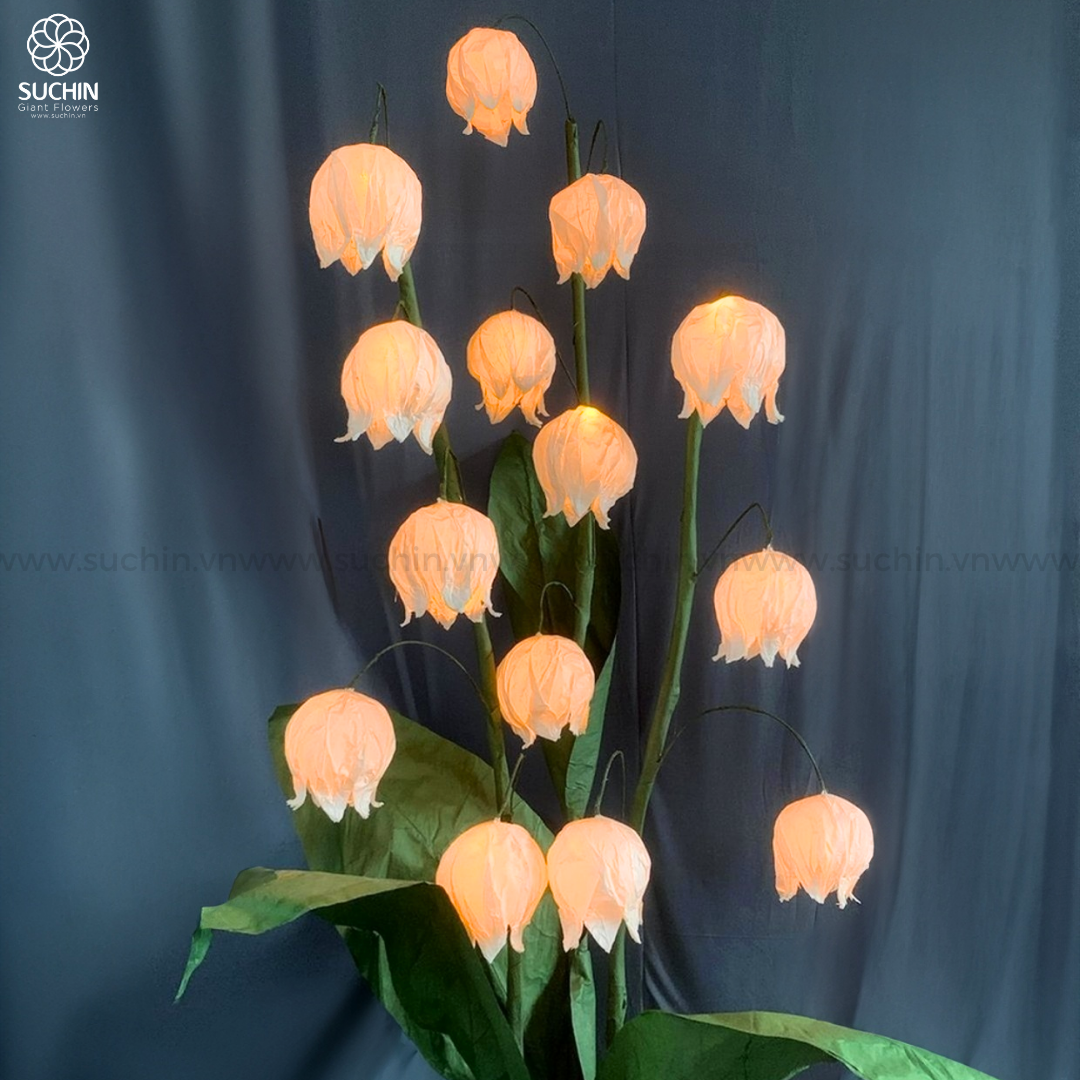 DECOR VỚI HOA LINH LAN KHỔNG LỒ