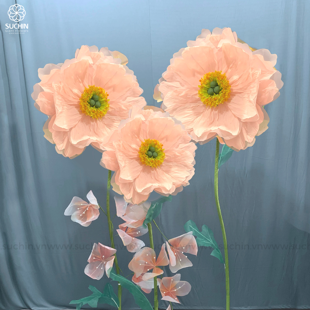 HOA POPPY KHỔNG LỒ VẠN NĂNG