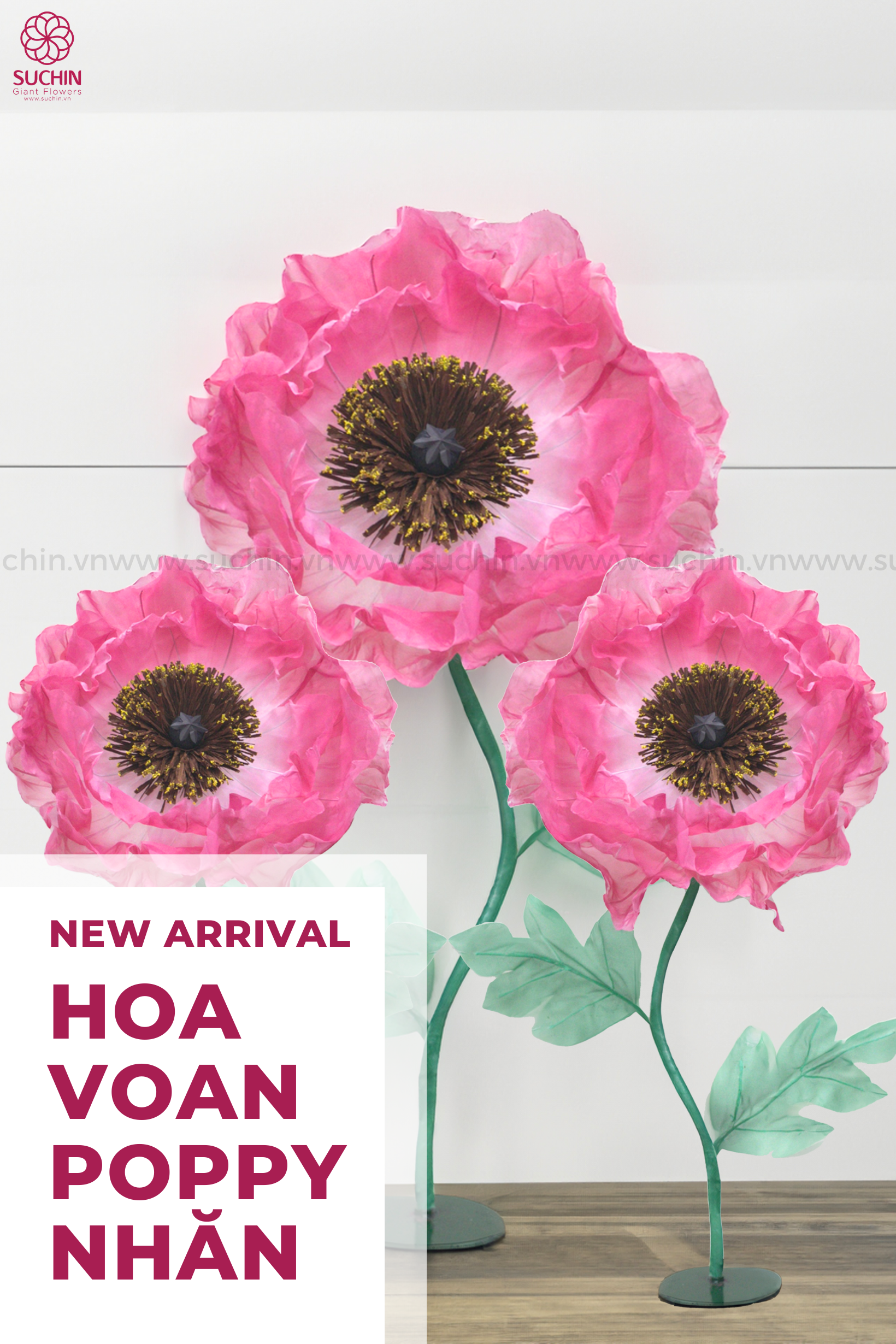 TẠO ẤN TƯỢNG VỚI HOA POPPY KHỔNG LỒ