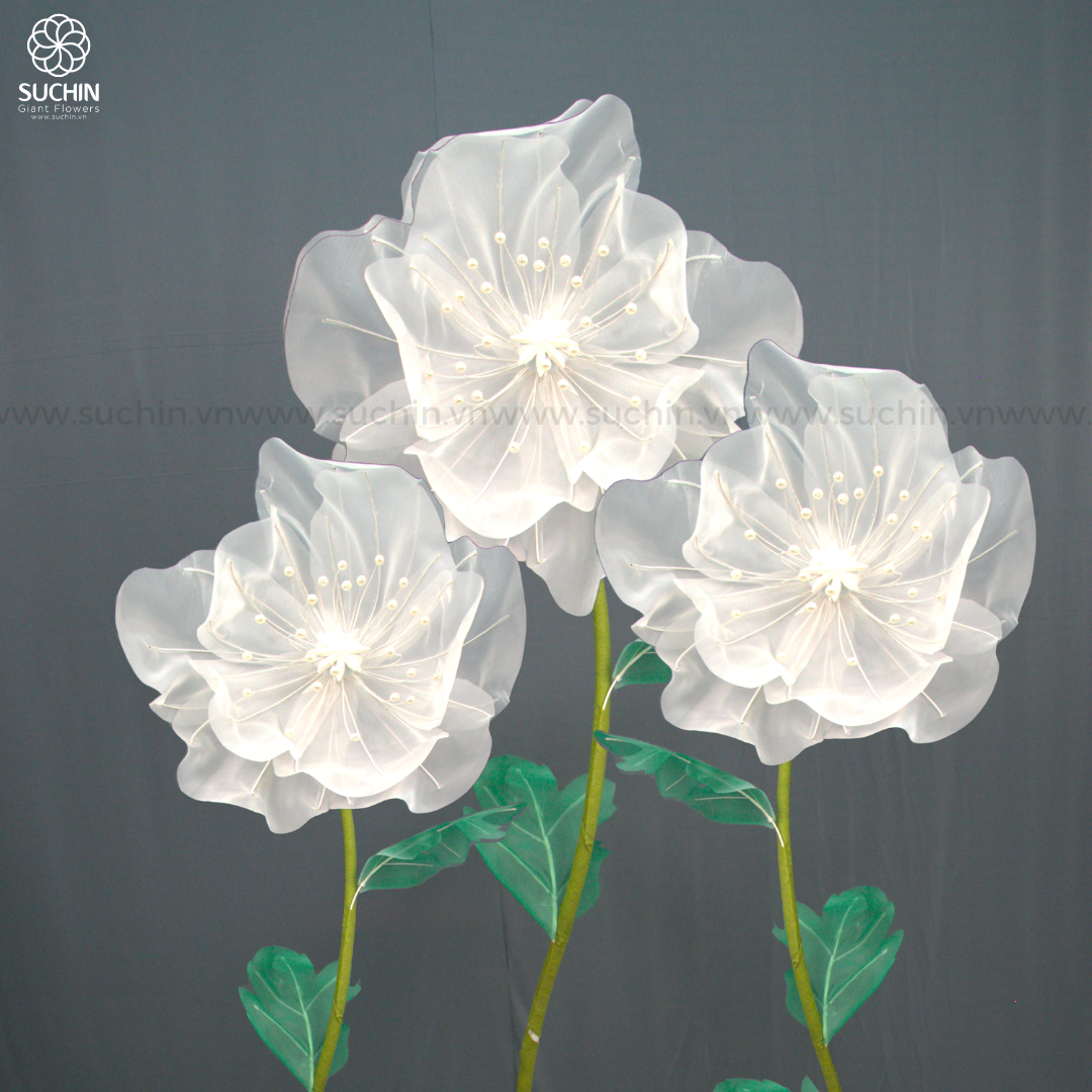 HOA VOAN TRẮNG TINH KHÔI