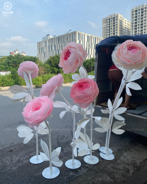 hoa mẫu đơn khổng lồ