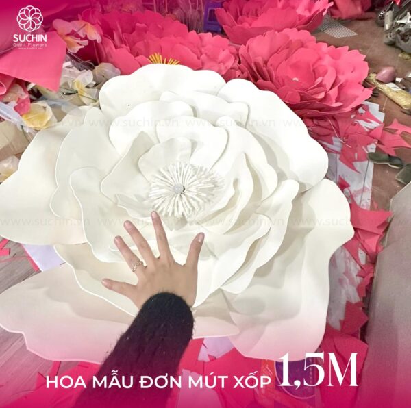 hoa mẫu đơn khổng lồ