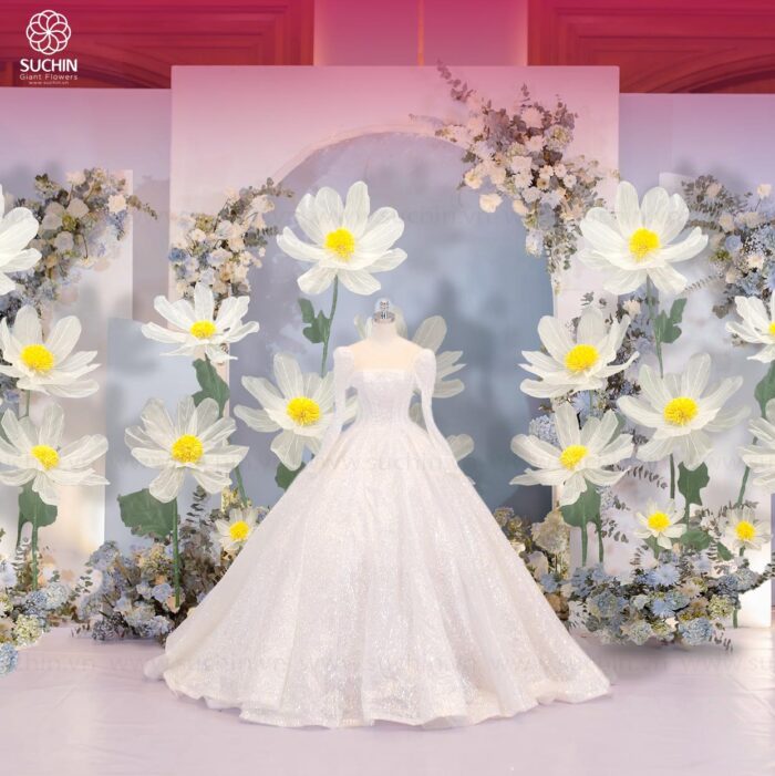 Cúc họa mi trang trí đám cưới