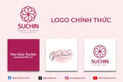 nhận diện thương hiệu Suchin
