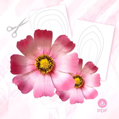 MẪU HOA CÁNH BƯỚM – GIẤY NHÚN