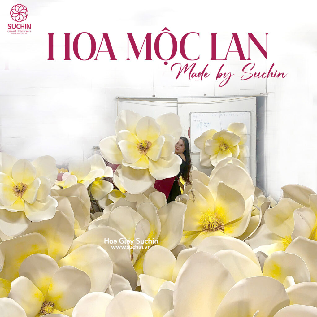 hoa mộc lan khổng lồ