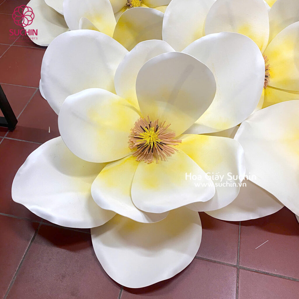hoa mộc lan khổng lồ