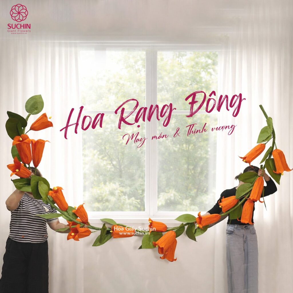 hoa rạng đông khổng lồ