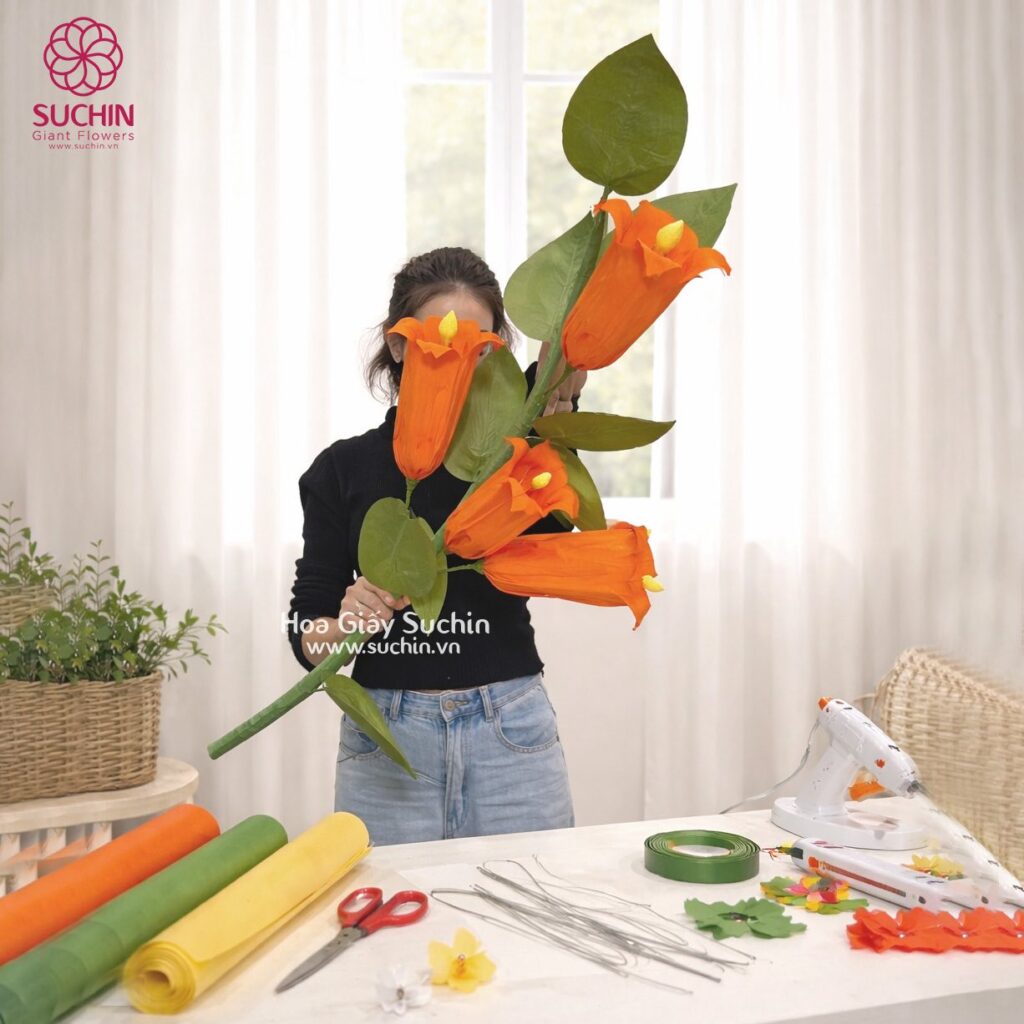 hoa rạng đông khổng lồ
