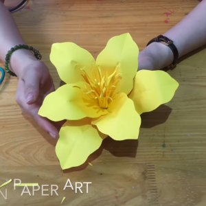 Mẫu Hoa Ly Thái Khổng Lồ
