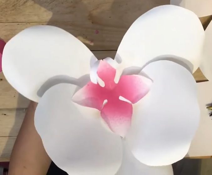 Mẫu Cánh Hoa Lan – Giấy Mỹ Thuật