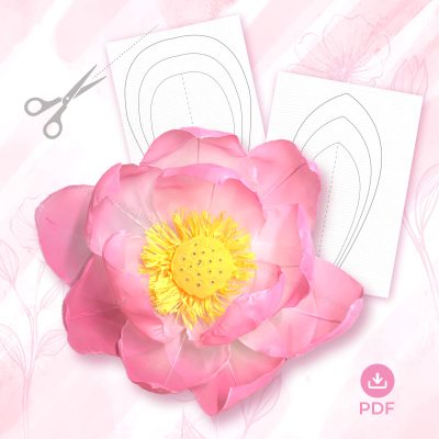 MẪU HOA SEN – VOAN