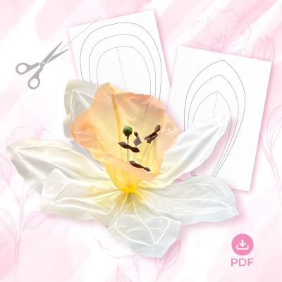 MẪU HOA THỦY TIÊN – VOAN