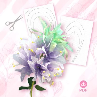 MẪU HOA VƯƠNG MIỆN – VOAN