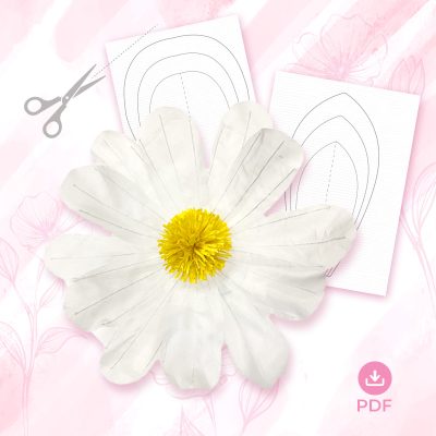 MẪU HOA CÚC HOẠ MI – VOAN