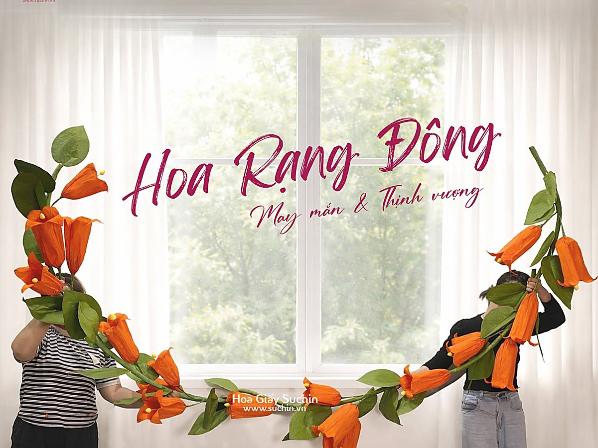 Mẫu hoa khổng lồ Suchin 1